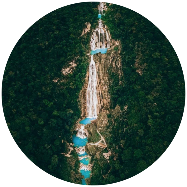 Quetzal